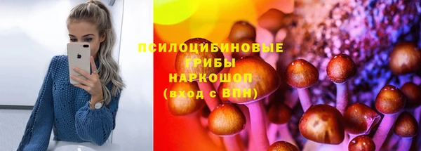 тгк Алексин