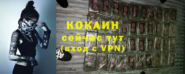 тгк Алексин