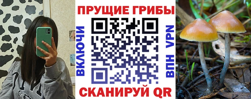 купить наркотики цена  Люберцы  Галлюциногенные грибы мухоморы 