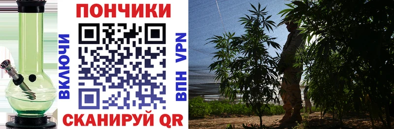 Каннабис марихуана  наркошоп  Люберцы 